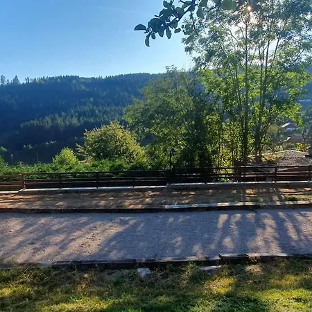 Feriehus Les Fougeres 12 Personnes Spa/sauna *
