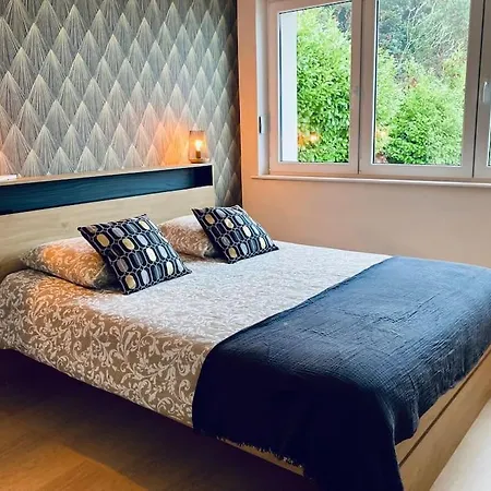 Les Fougeres 12 Personnes Spa/sauna Vakantiehuis *