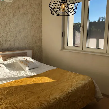 Les Fougeres 12 Personnes Spa/sauna