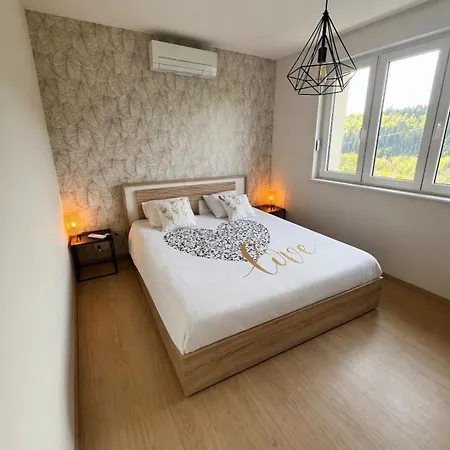 Feriehus Les Fougeres 12 Personnes Spa/sauna Le Tholy