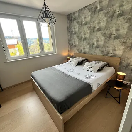 Les Fougeres 12 Personnes Spa/sauna * Le Tholy