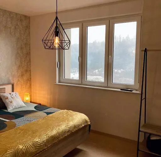 Dom wakacyjny Les Fougeres 12 Personnes Spa/sauna Le Tholy