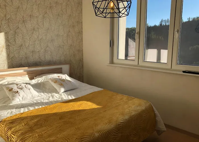 Les Fougeres 12 Personnes Spa/sauna